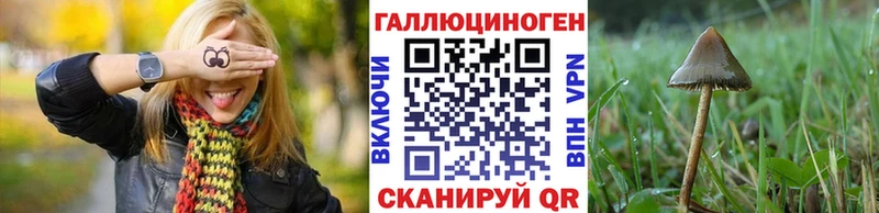 Галлюциногенные грибы мухоморы  Богучар 